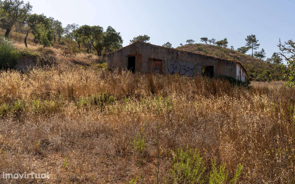 Herdade Moinho Corisco - Grande imagem: 2/16