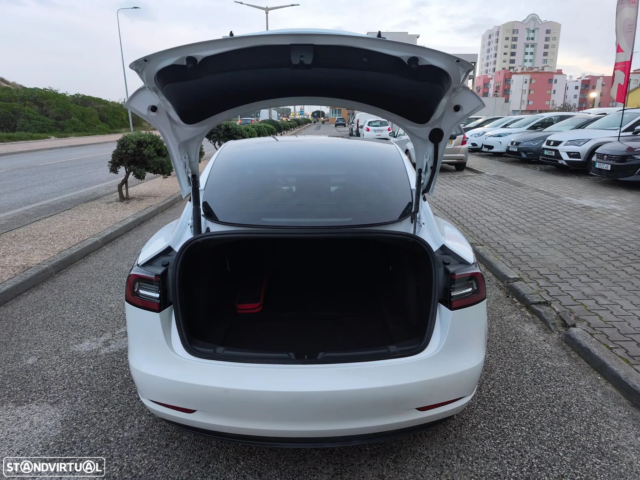 Tesla Model 3 Performance Dual Motor AWD - 19