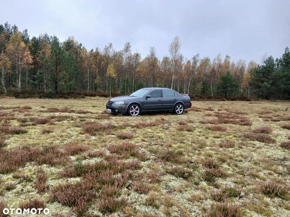 Nissan Maxima - 18