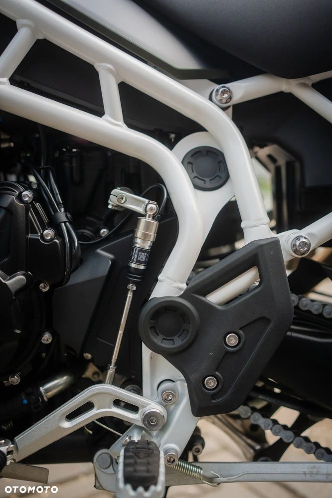 Triumph Tiger - 24