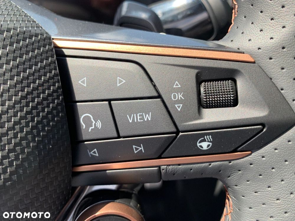 Cupra Terramar 2.0 TSI 4Drive DSG - 31