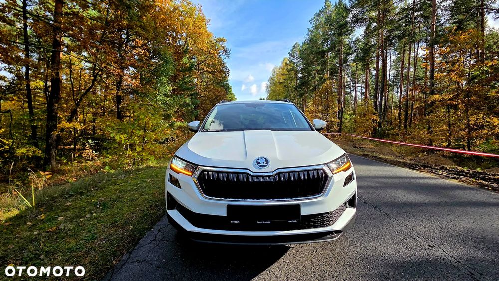 Skoda Karoq 2.0 TDI SCR 4x2 Sportline - 3