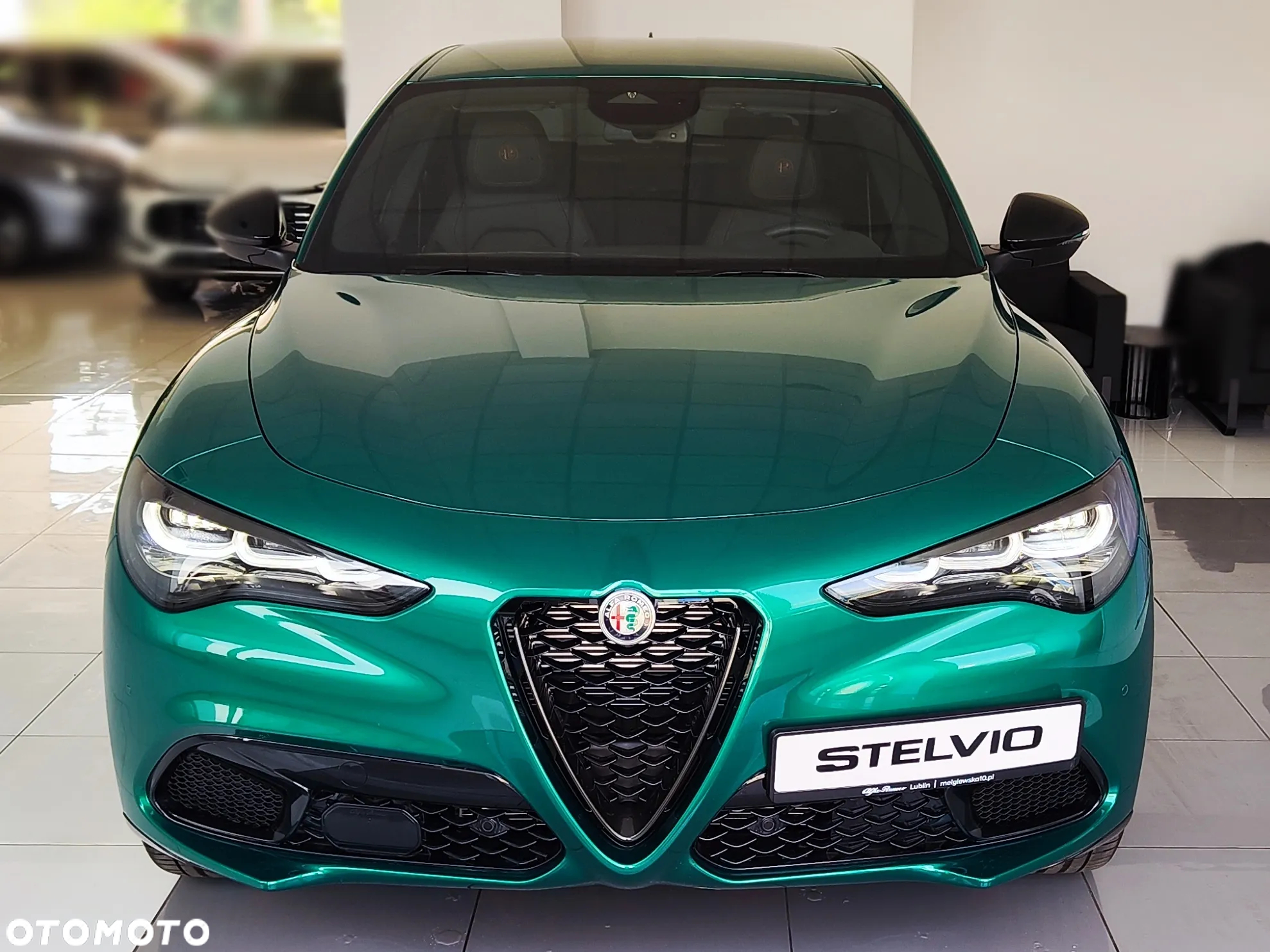 Alfa Romeo Stelvio 2.0 Turbo Intensa Q4 - 3
