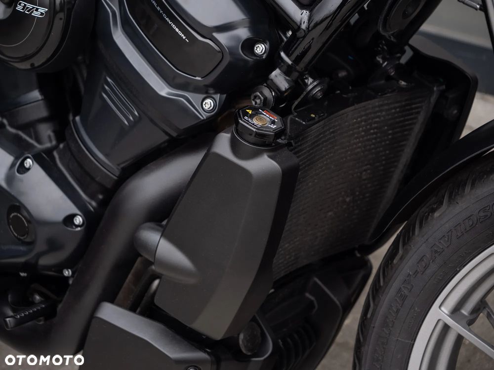 Harley-Davidson Sportster Nightster 975 - 20