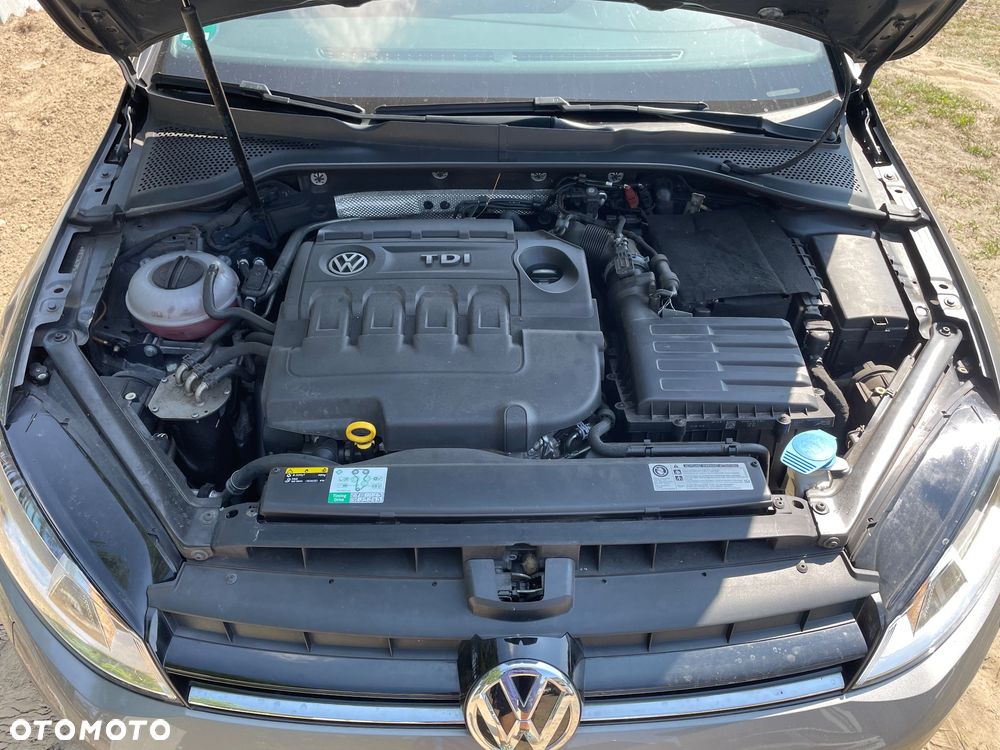 Volkswagen Golf VII 1.6 TDI BMT Highline DSG - 13