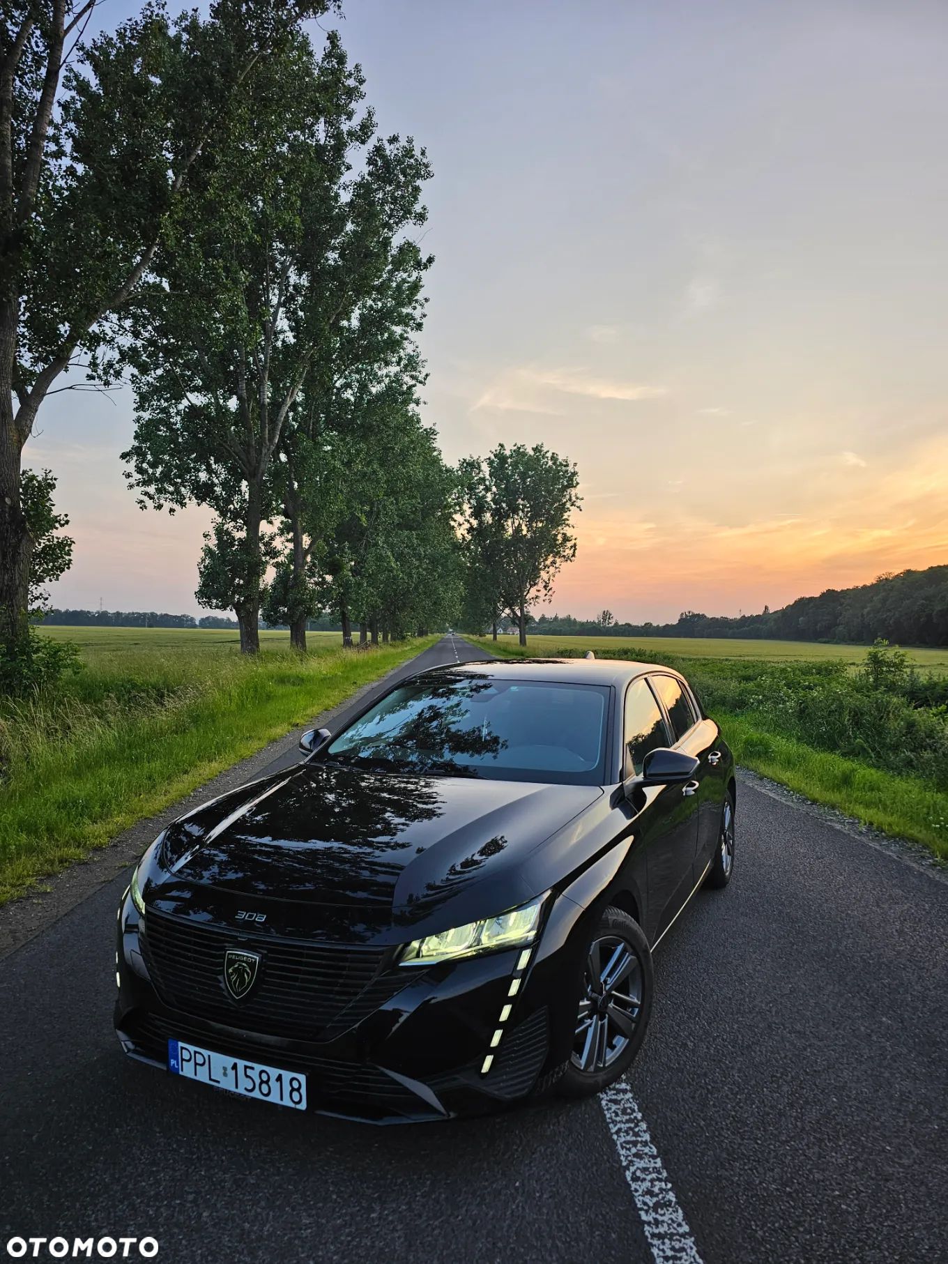 Peugeot 308 1.5 BlueHDi Allure S&S EAT8 - 1