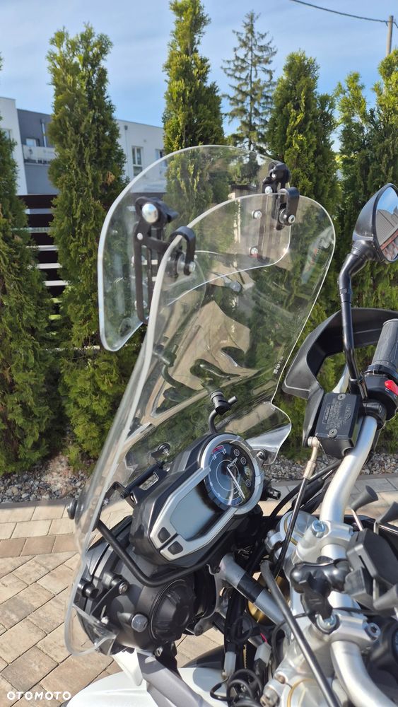 Triumph Tiger - 23