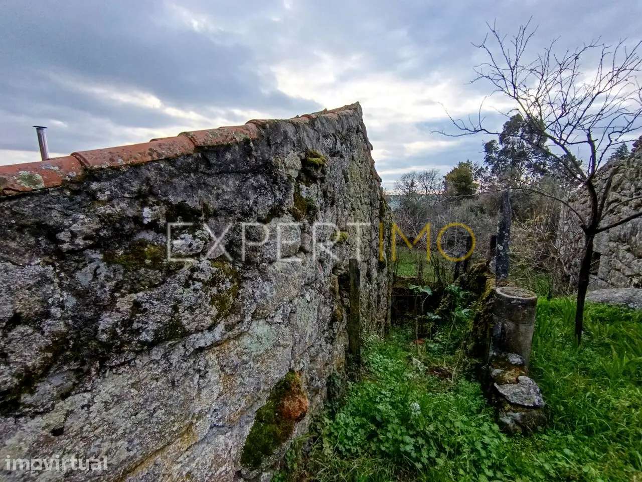 Casa de Arrumos em Pedra para venda - Quintãs de Baixo, Linhares... - Grande imagem: 5/5
