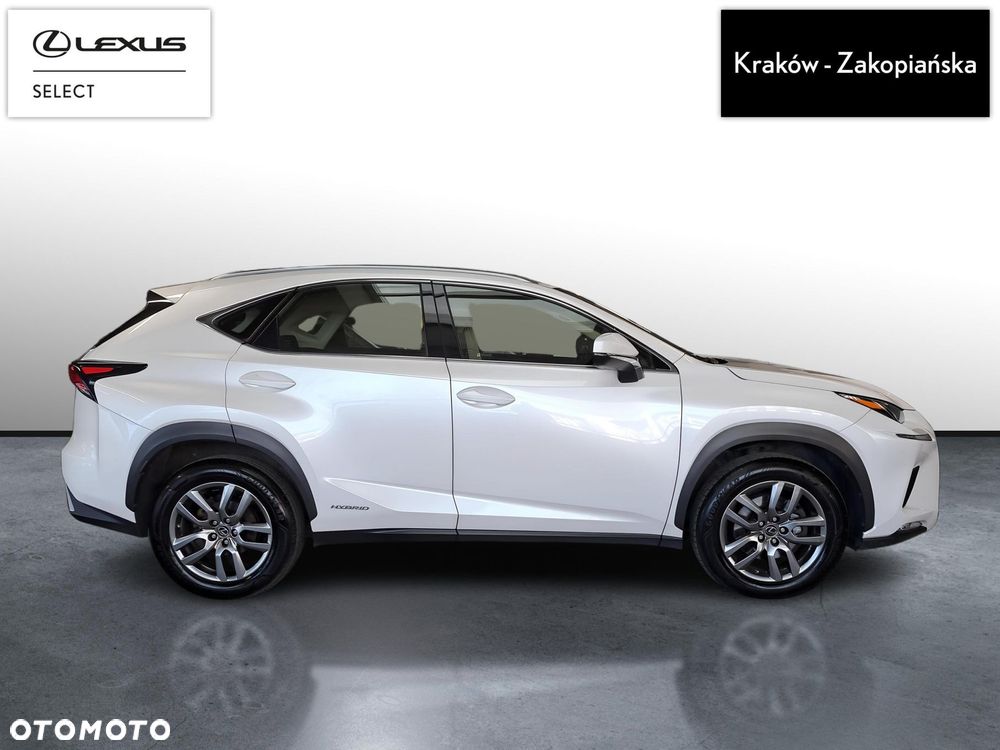 Lexus NX 300h Business Edition AWD - 7