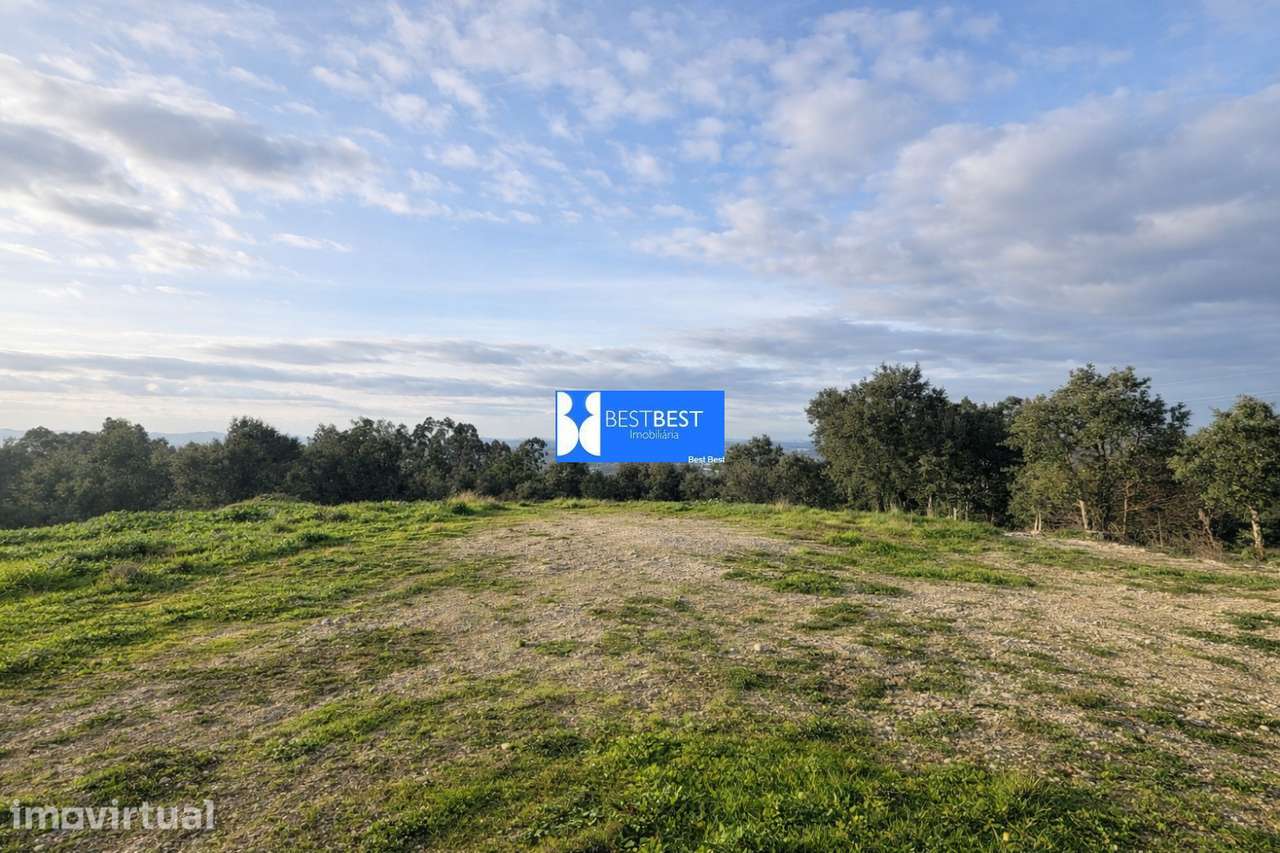 TERRENO COM 10.031  M2 EM BURGAES, SANTO TIRSO - Grande imagem: 3/11