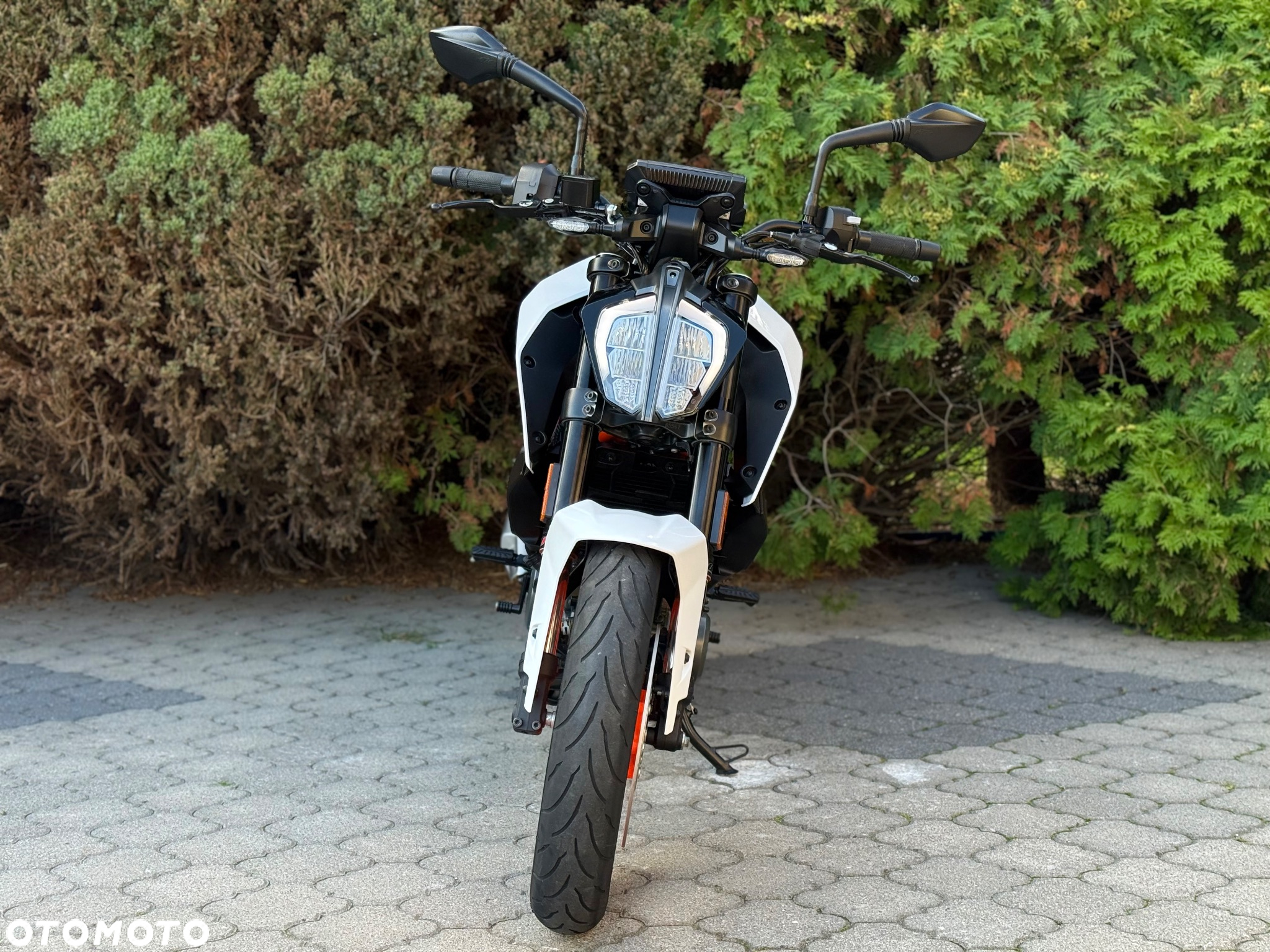 KTM Duke - 8