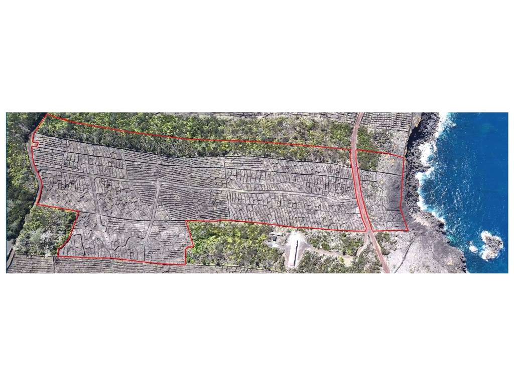 VENDA de AMPLO TERRENO com VISTA MAR e Montanha da Ilha do Pico - C... - Grande imagem: 3/17