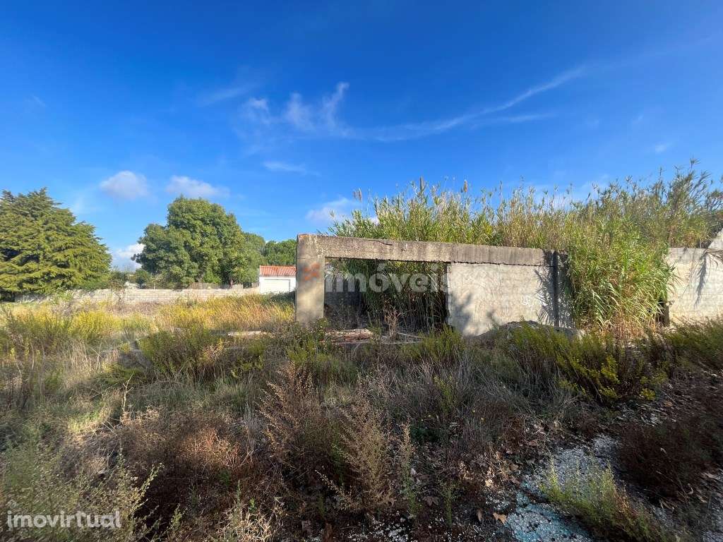 Armazém para recuperar com 1654 m2 de terreno, situado no Entroncam... - Grande imagem: 4/8