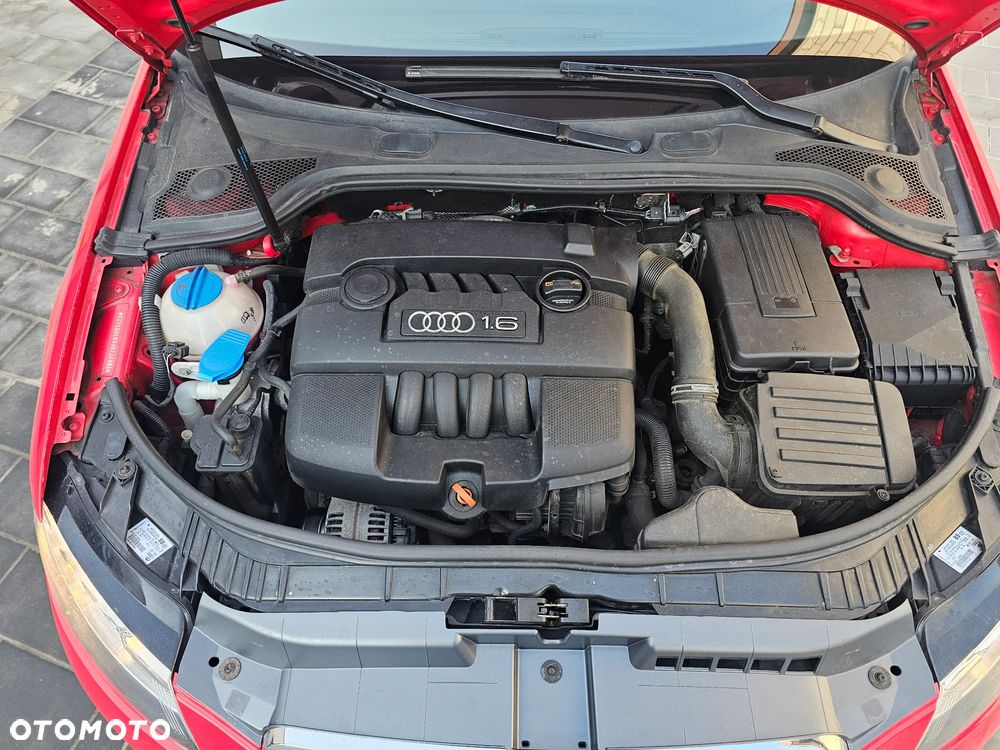 Audi A3 Cabrio 1.6 Ambition - 13
