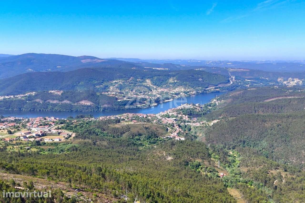 Terreno com 5 Hectares em Sebolido, Penafiel, Porto - Grande imagem: 5/14