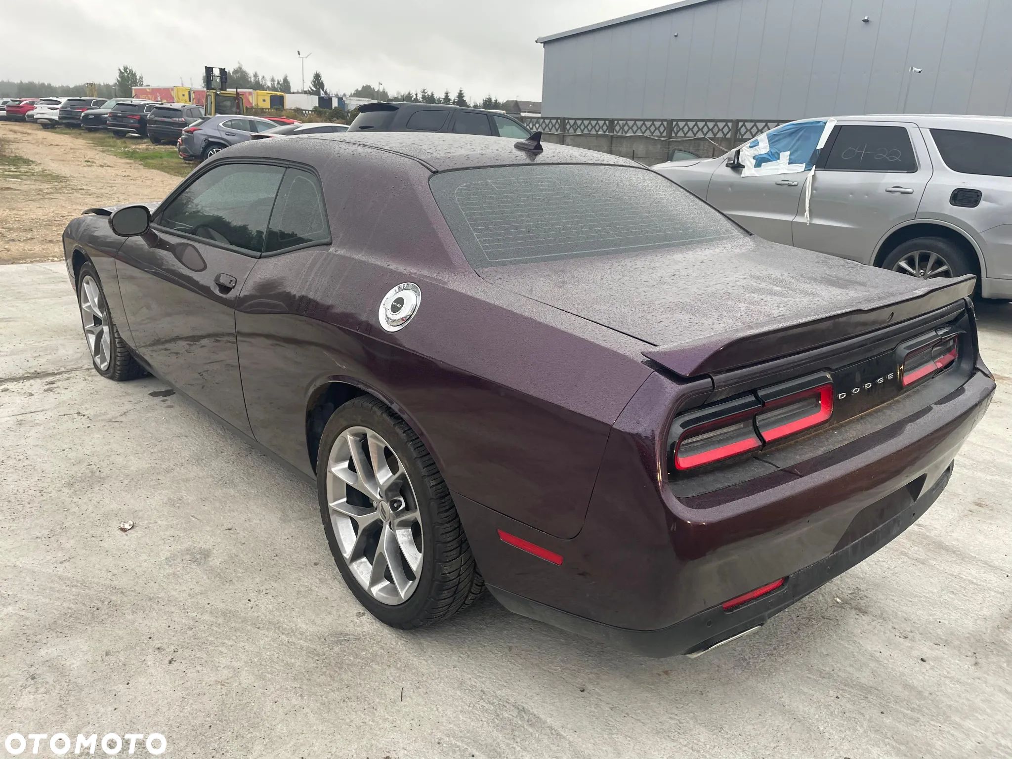 Dodge Challenger - 1