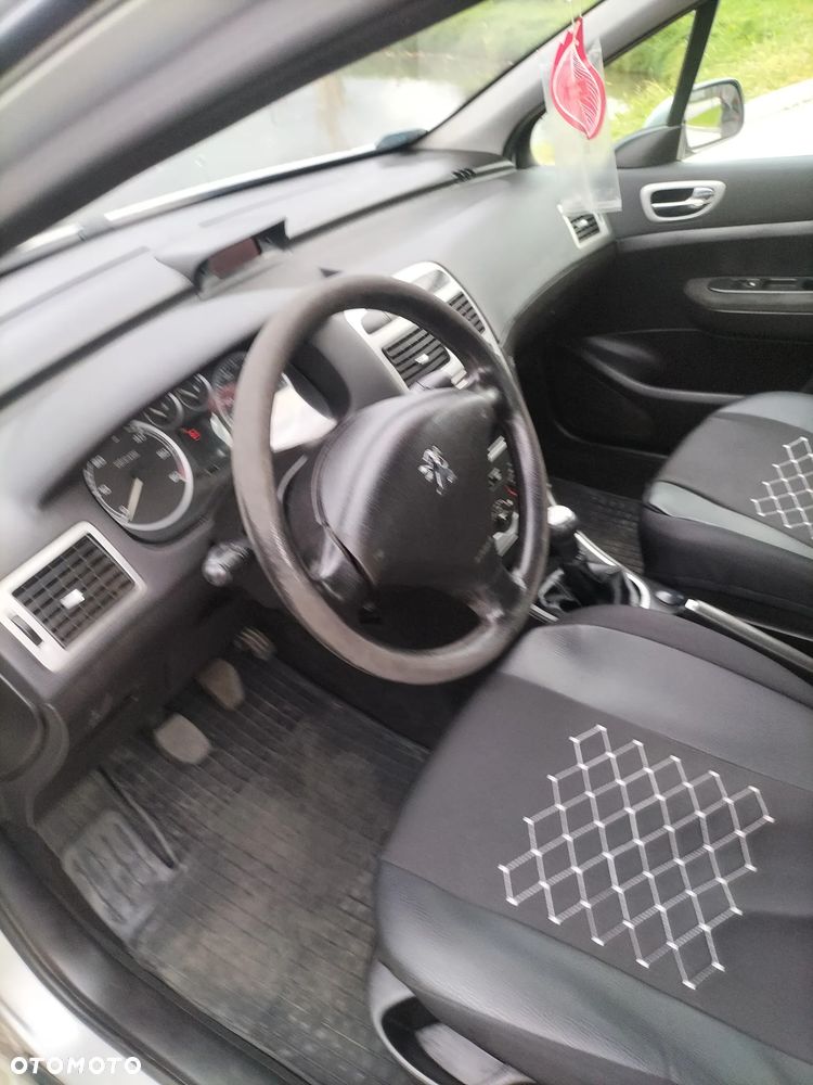Peugeot 307 - 15