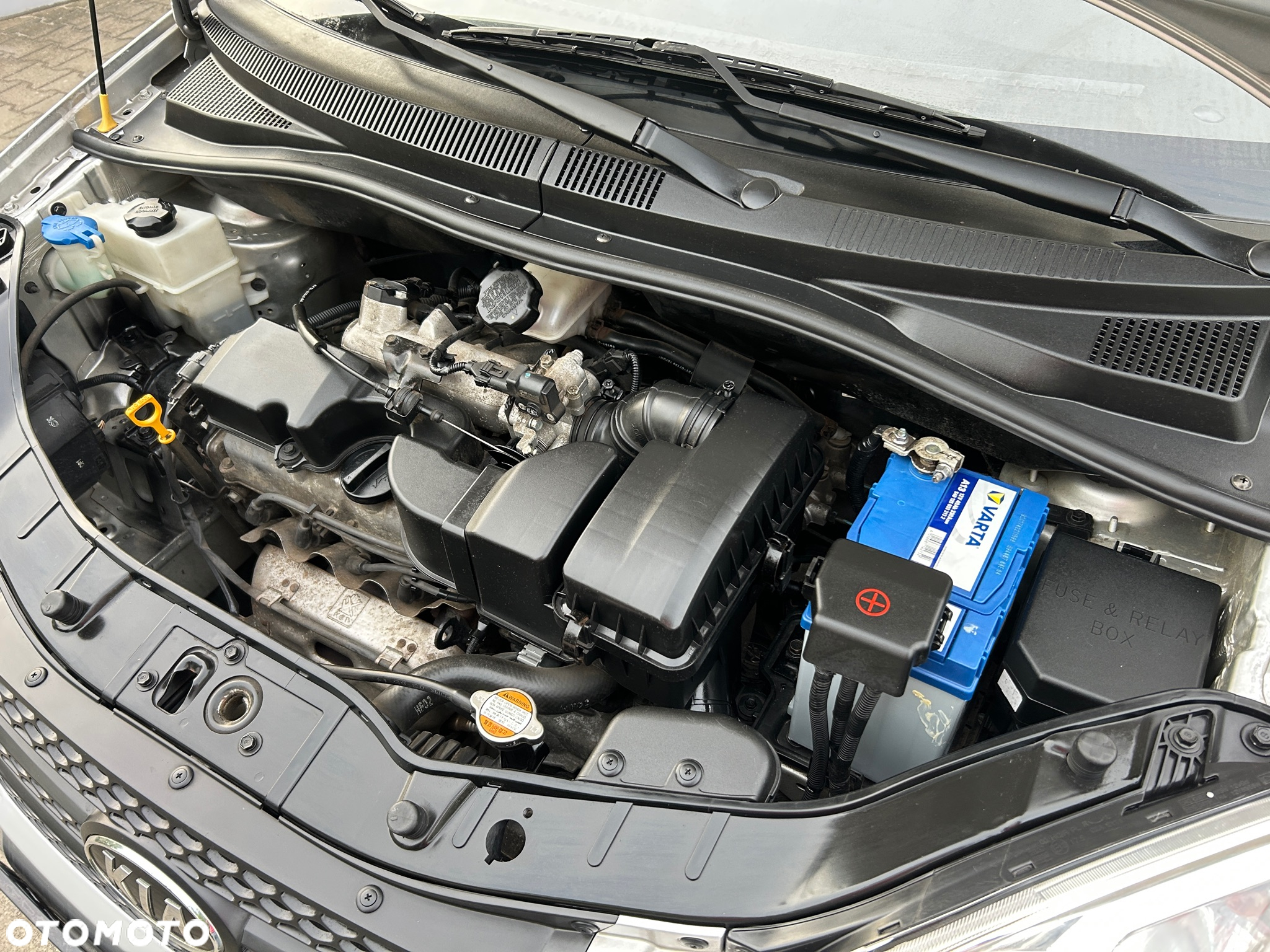 Kia Picanto - 16