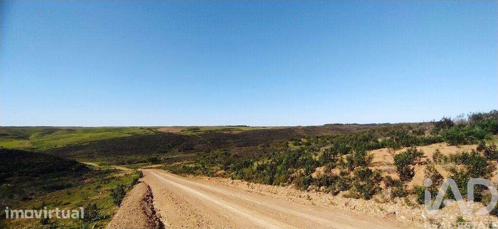 Terreno T1 em Vila do Bispo e Raposeira de 174170,00 m2 - Grande imagem: 3/13