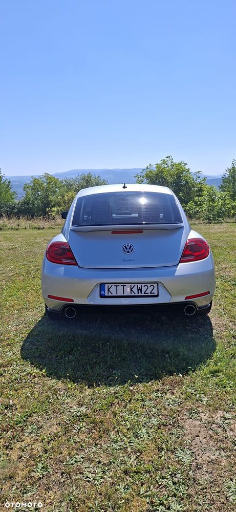 Volkswagen Beetle - 4