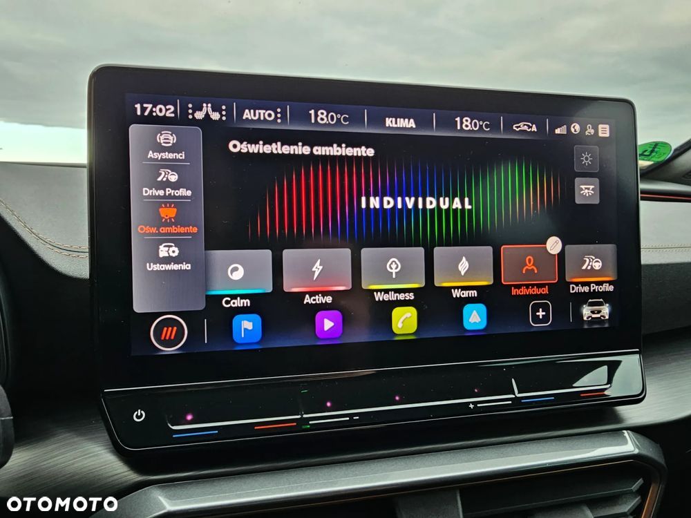 Cupra Formentor VZ 2.0 TSI DSG - 24