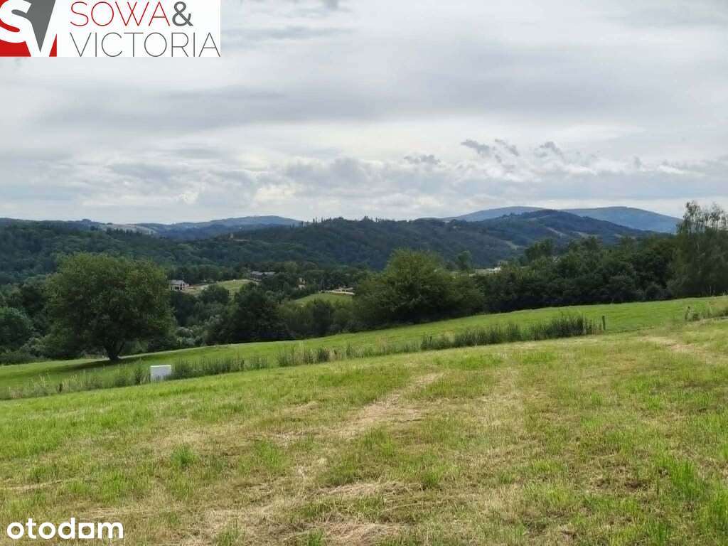 Panoramiczny widok na szczyty gór,  ok 1 km od PKP - Pełny obrazek: 4/11
