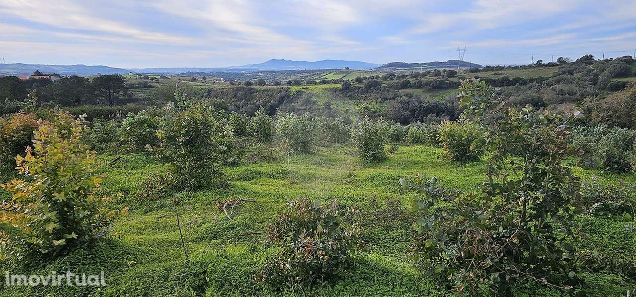 Terreno  para venda - Grande imagem: 3/11
