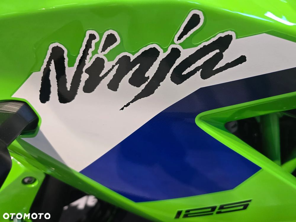 Kawasaki Ninja - 7