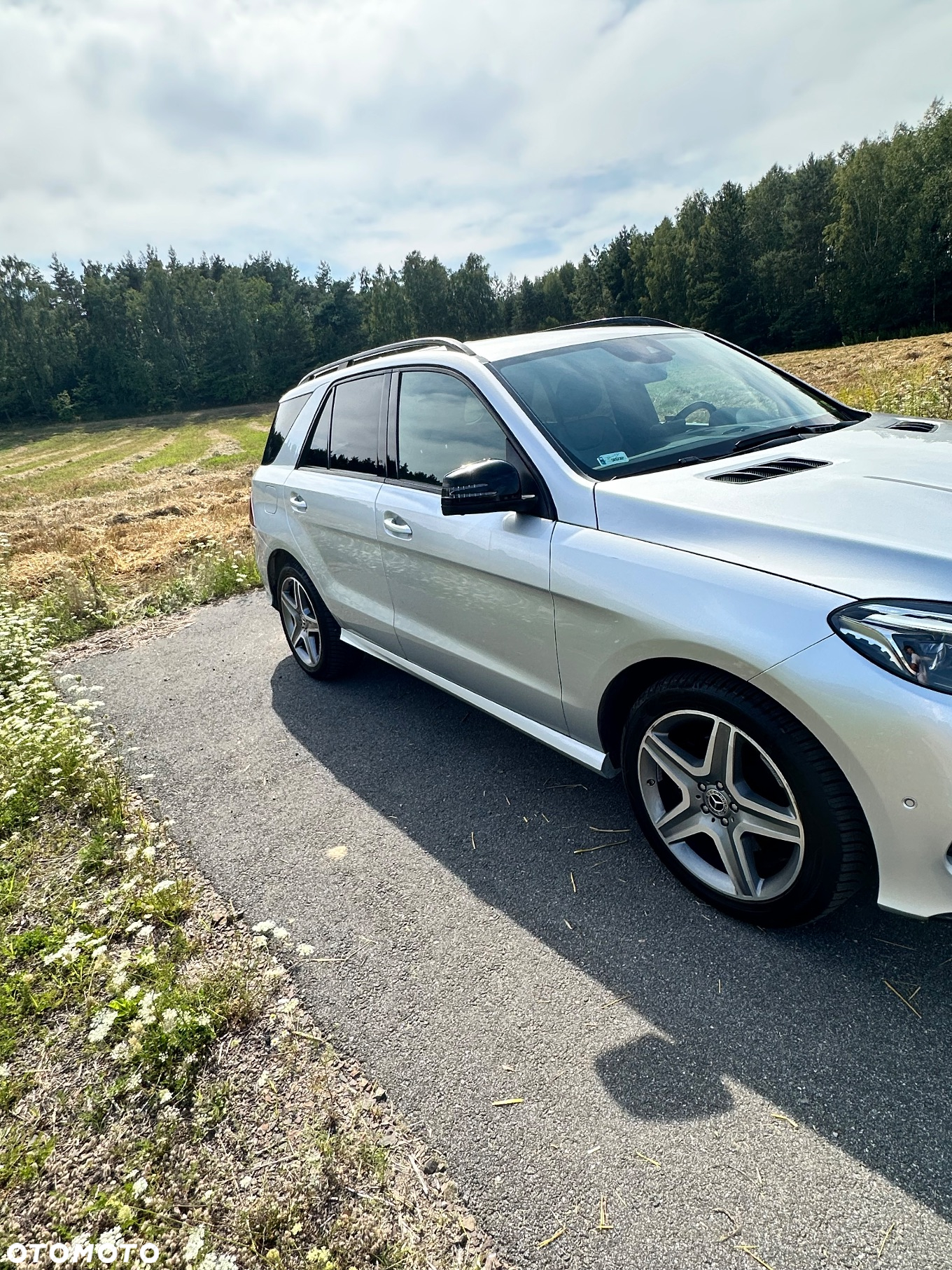 Mercedes-Benz GLE 350 d 4-Matic - 3