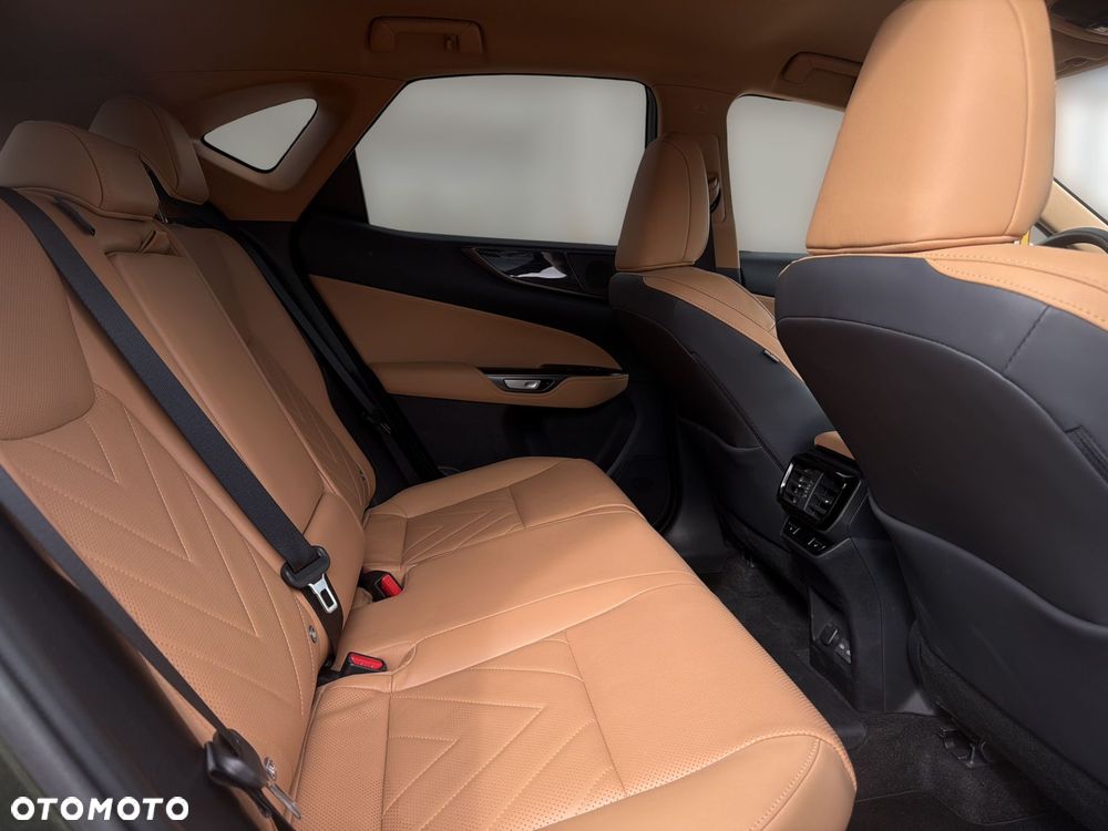 Lexus NX - 10