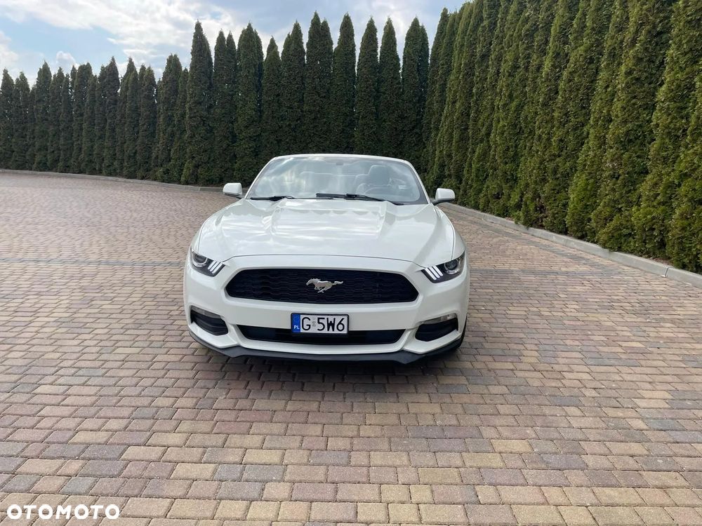 Ford Mustang Cabrio 2.3 Eco Boost - 2