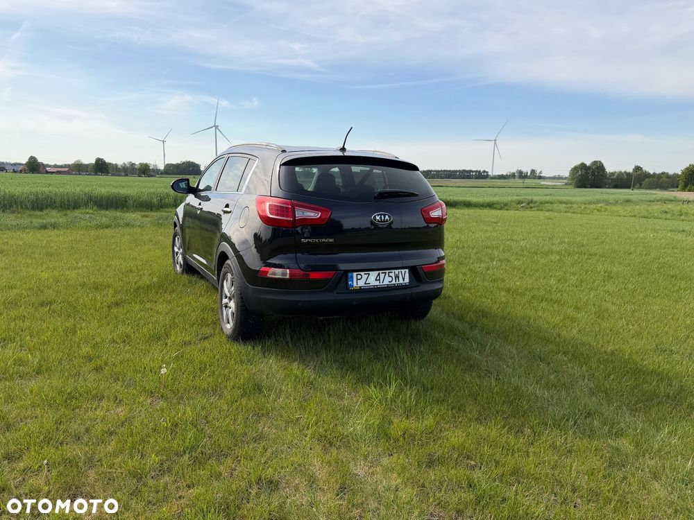 Kia Sportage - 5