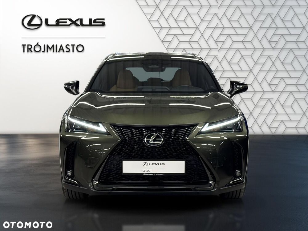 Lexus UX 300h F Sport Design - 9