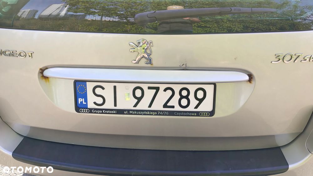 Peugeot 307 1.6 Premium n.gama - 18