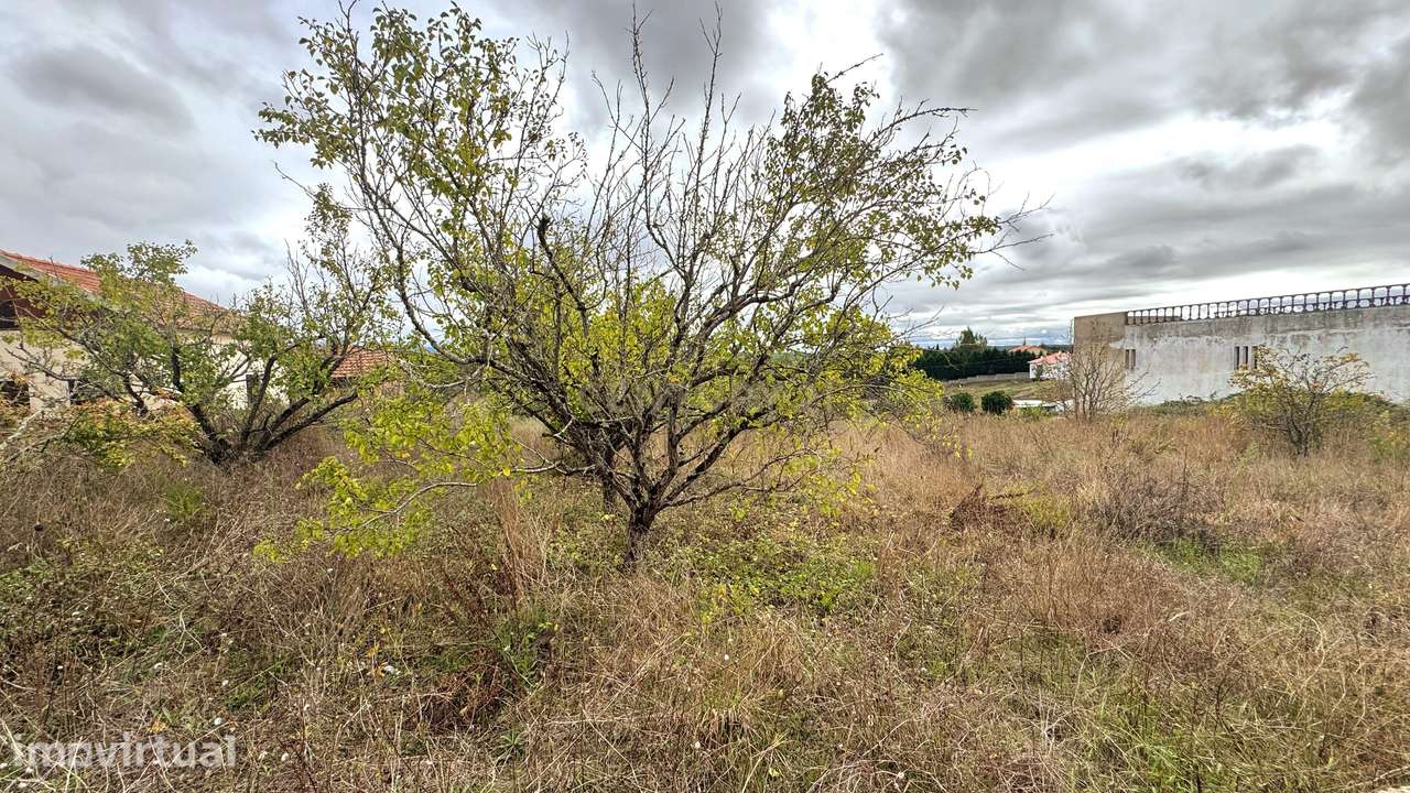 Terreno para Construção com 1300m² em Montes de Alcobaça – Vista Serra - Grande imagem: 4/6