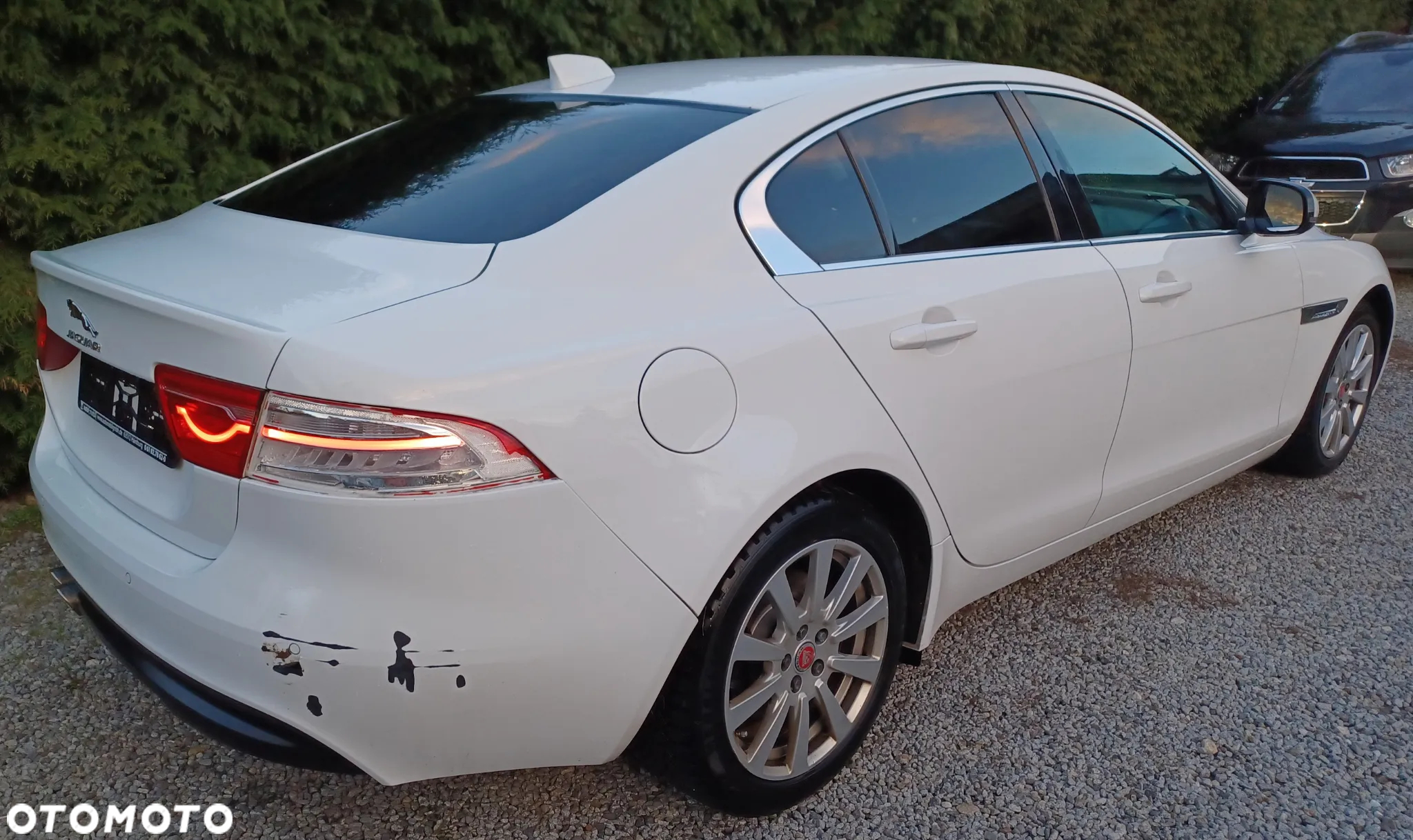 Jaguar XE - 3