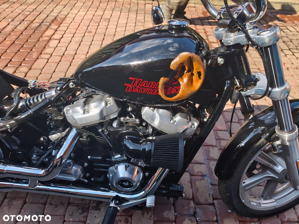 Harley-Davidson Softail Standard - 3