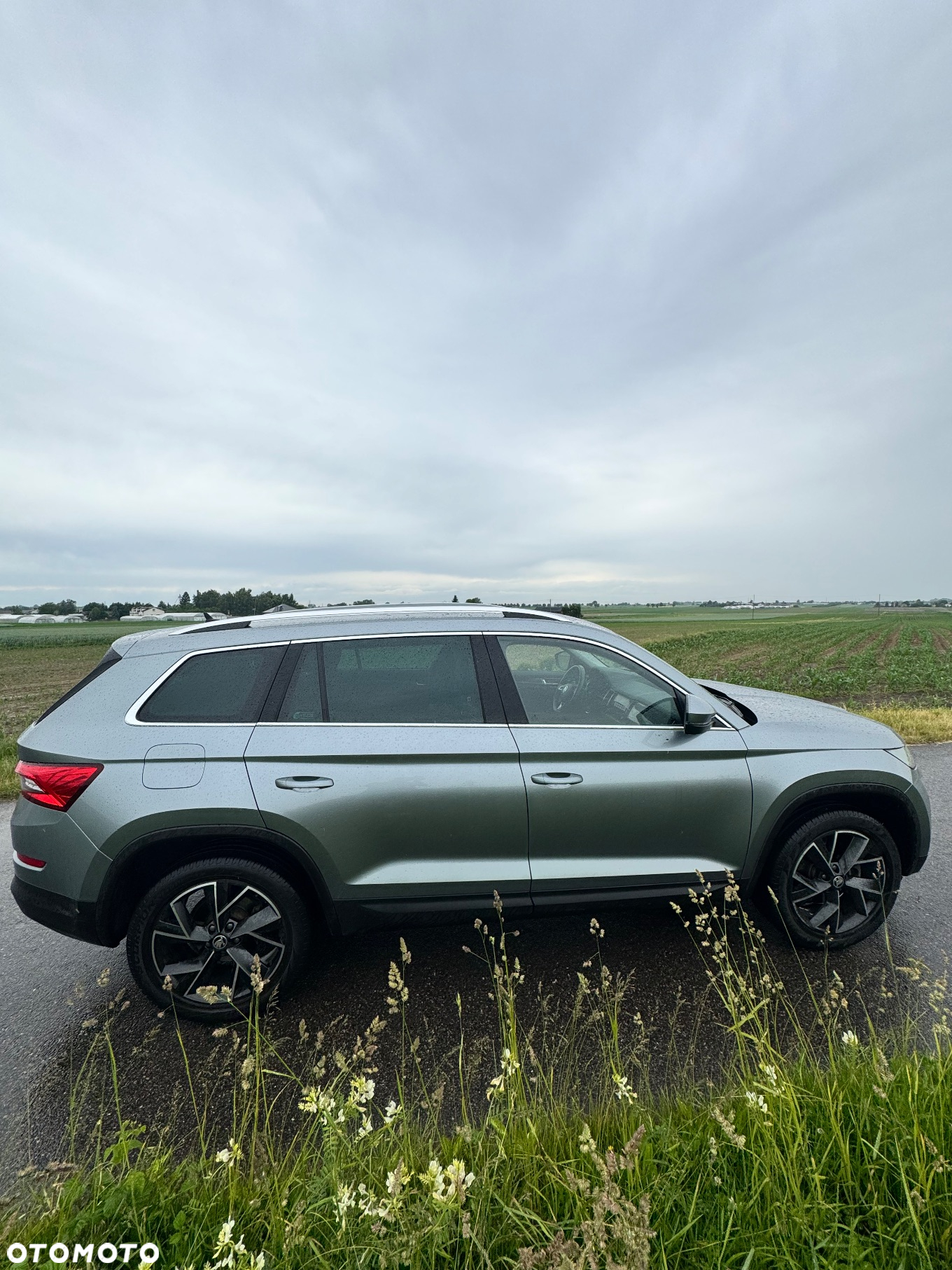 Skoda Kodiaq 2.0 TDI 4x4 Style DSG - 4