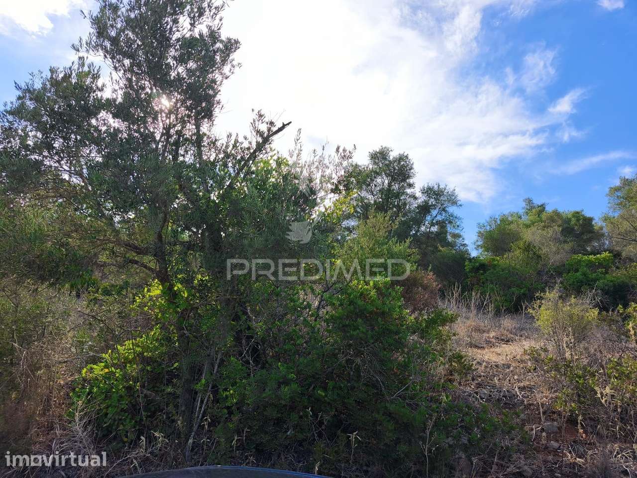 Albufeira-Paderne Matos Cima - Terreno Rustico 23.520m2 - Grande imagem: 5/16