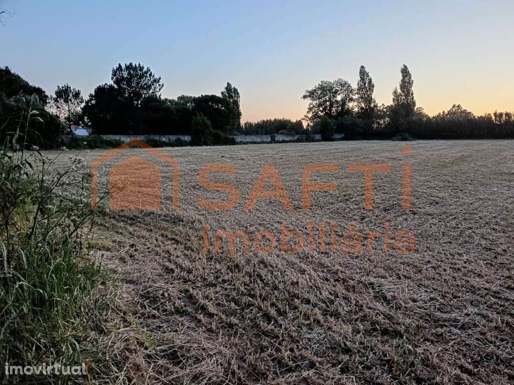 Terreno de 3.920 m² em Alfeizerão | Proximidade Foz do Arelho - Grande imagem: 3/6