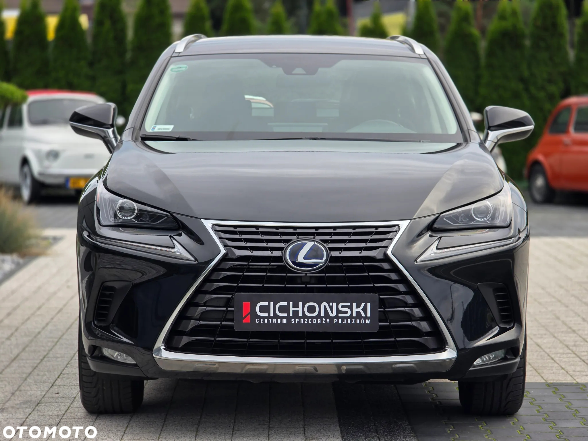 Lexus NX 300h Elegance AWD - 13