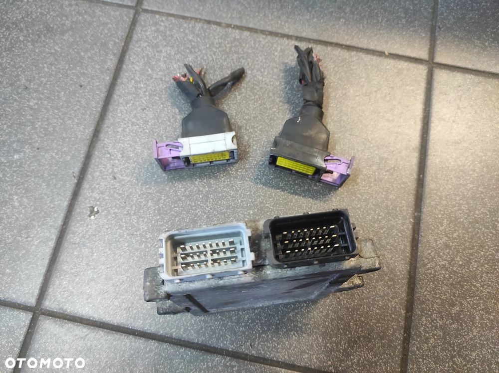 STEROWNIK GAZU LPG PRINCE GAS 3 4 CYL WYSYŁKA !!! - 3