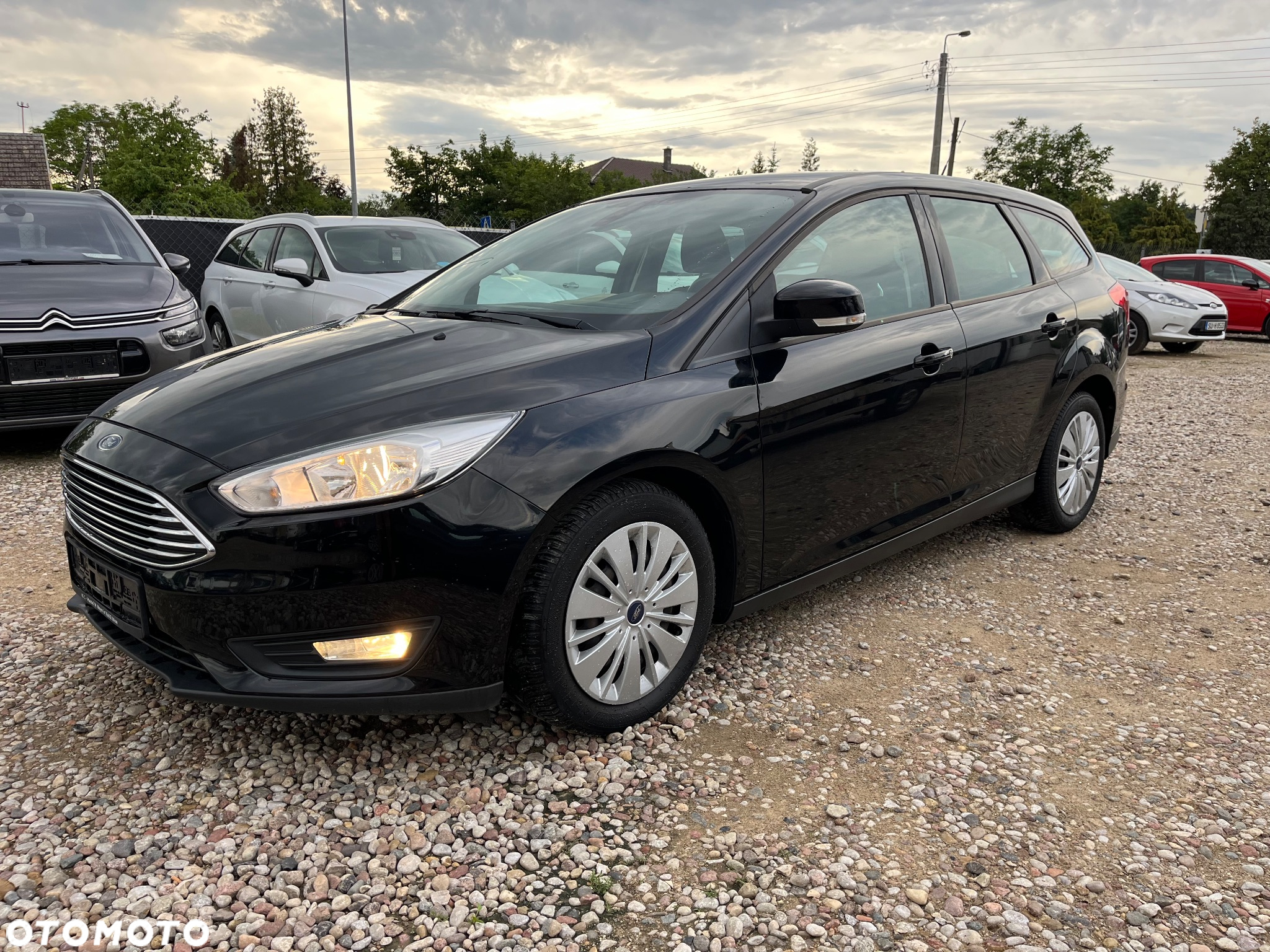Ford Focus - 29