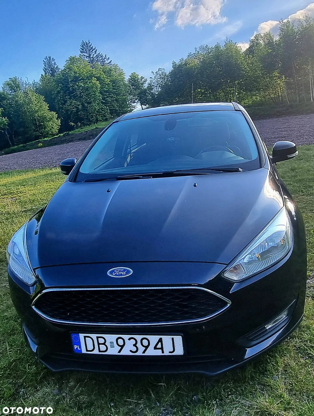 Ford Focus - 5