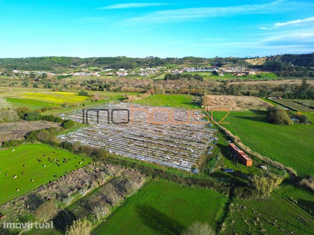 Quinta de 3,24ha - A 5min. Montemor-o-Velho - Grande imagem: 2/11