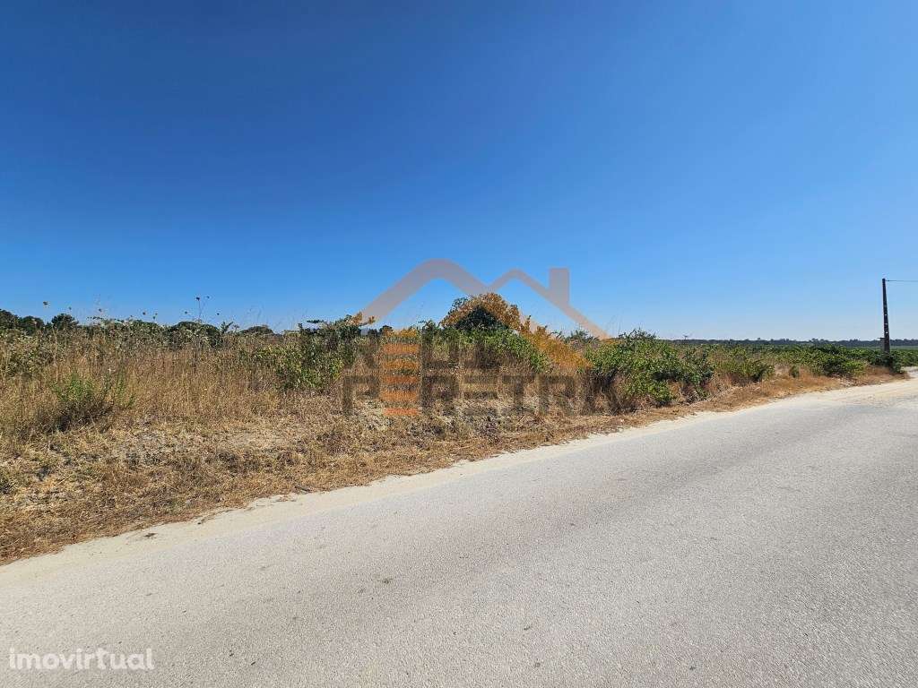 Oportunidade Única no concelho de Palmela, freguesia de Poceirão e ... - Grande imagem: 2/10