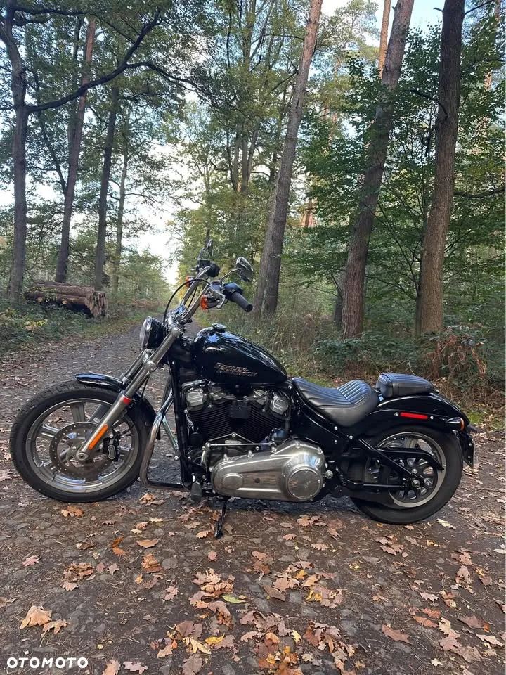 Harley-Davidson Softail Standard - 1