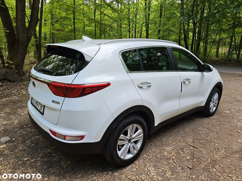 Kia Sportage 1.6 GDI 2WD DREAM-TEAM EDITION - 18