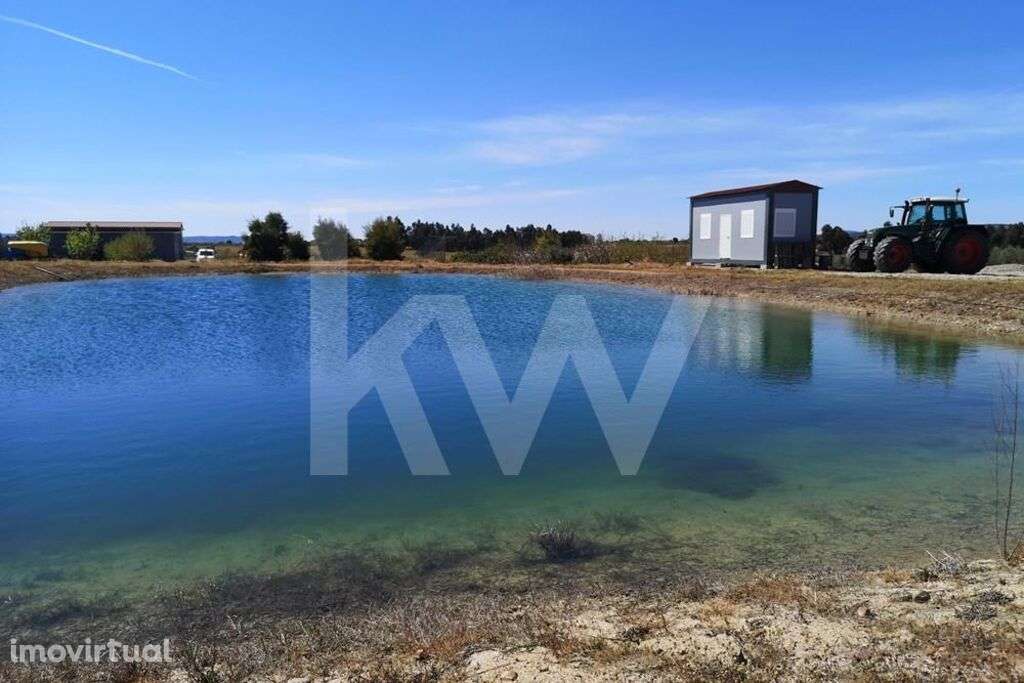 Propriedade Agricola na Campina de Idanha a Nova com 20ha em Plena Ati - Grande imagem: 3/60