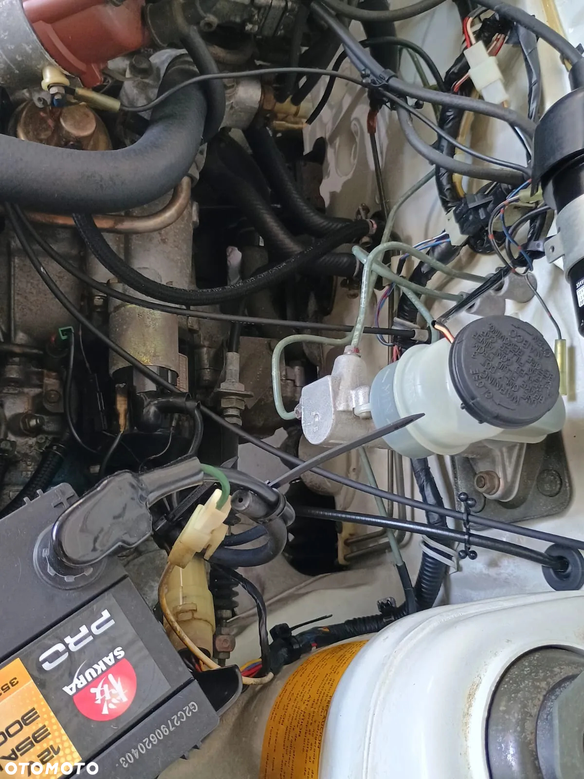 Suzuki Alto - 18